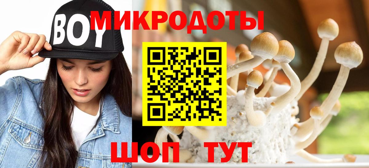 Белово  Псилоцибиновые грибы MAGIC MUSHROOMS  Вход с VPN  Галлюциногенные грибы Magic Shrooms 
